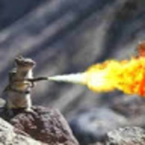 Meet your Posher, Introverted